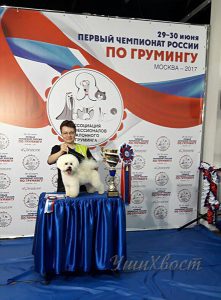 Грумер Светлана Чистова заняла первое место на чемпионате России по грумингу