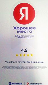 сертификат яндекс карты - оценка