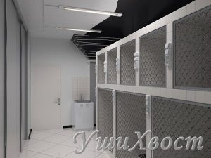 Стационар для собак и кошек в ветклинике УшиХвост Алабино