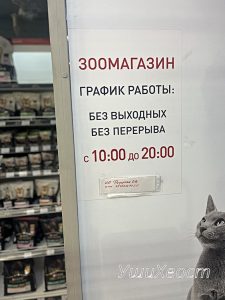 Зоомагазин УшиХвост Первомайское