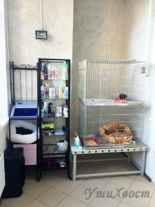 зоосалон УшиХвост в Лесном городке